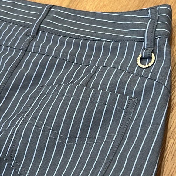 Daily Sports Striped Blue Button-Front Skort Golf Tennis Size 2 Born in Sweden - Picture 11 of 15